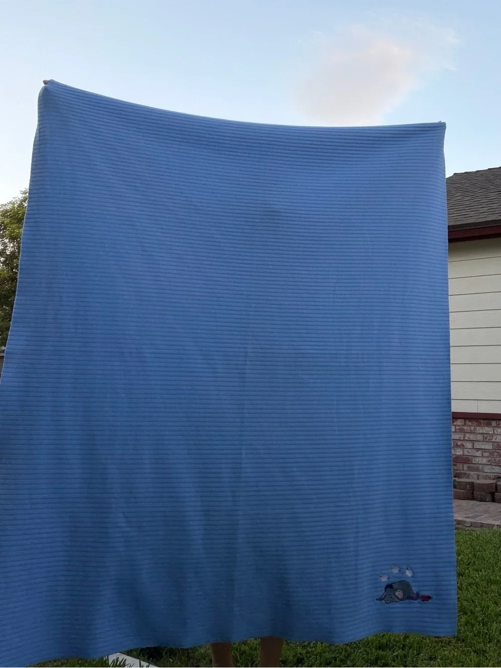 Kids Blue Eeyore Ribbed Throw Blanket